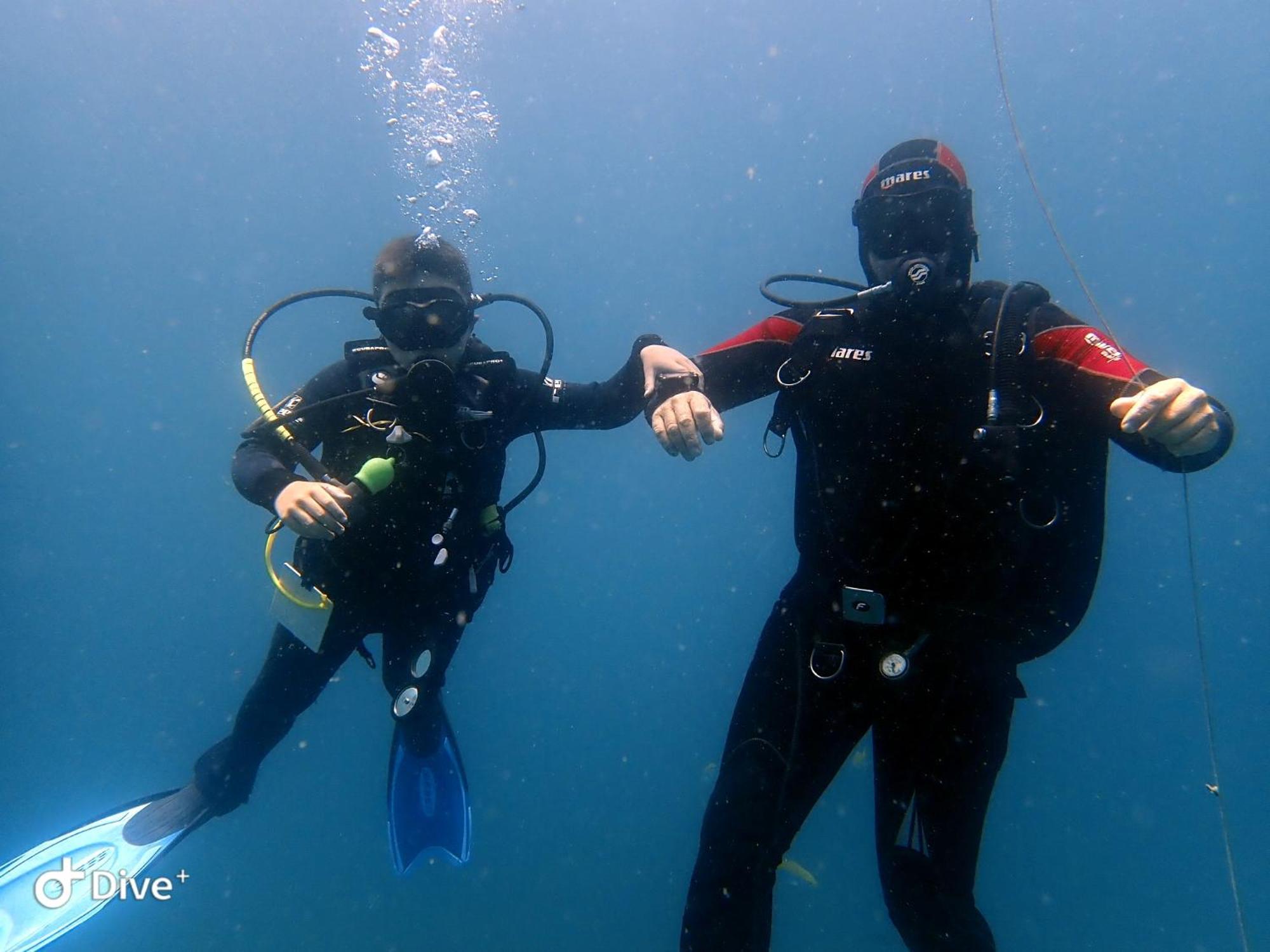 Seaxplore Lodge & Dive Center 소드와나 베이 외부 사진